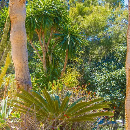 Casa Les Fremeaux Daire Altea
